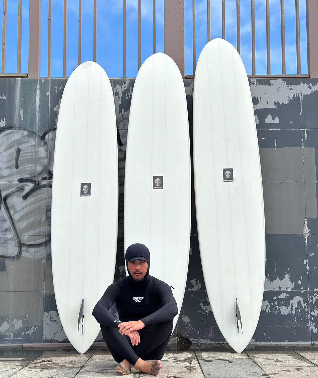 sun waveフィッシュボード サーフボード DOD sun waveフィッシュボード