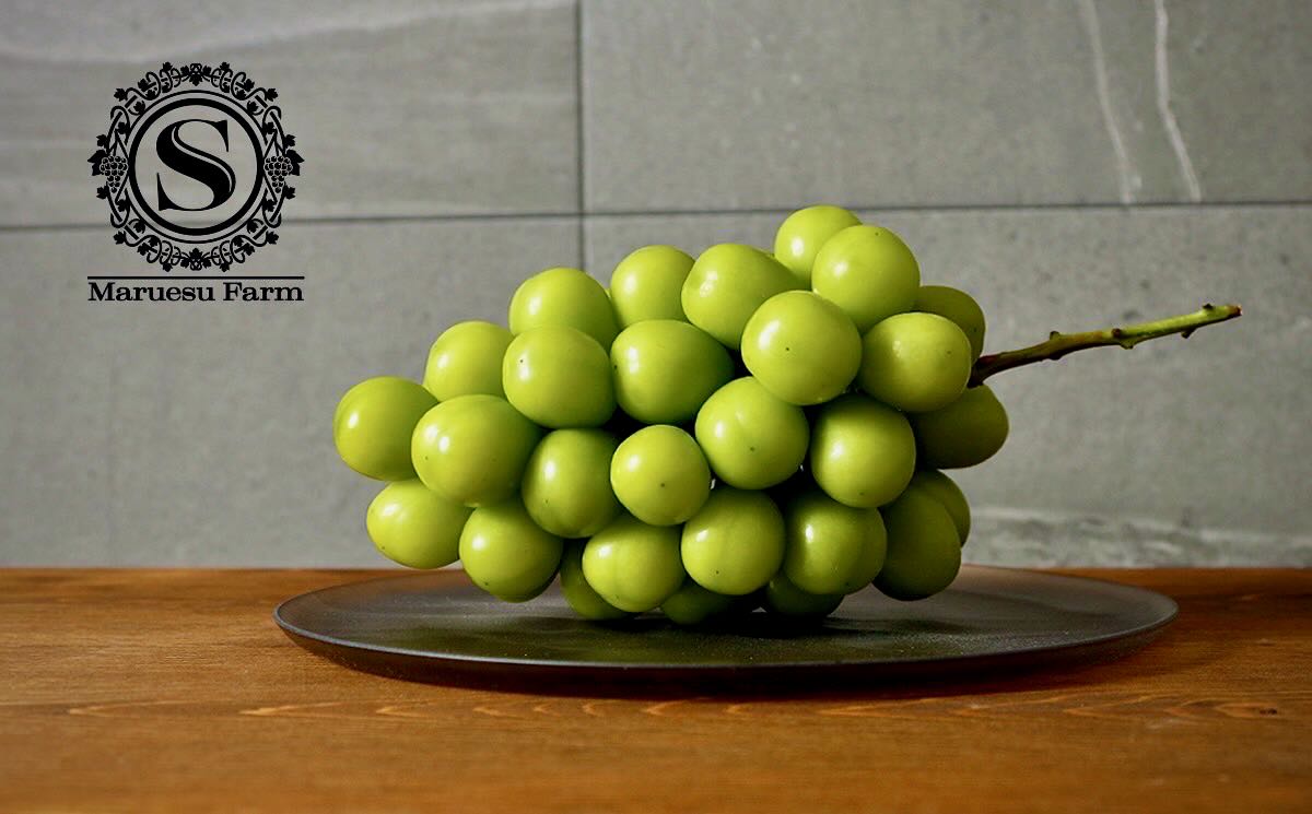 数量限定】1kg前後の超大房・大粒のプレミアム『シャインマスカット