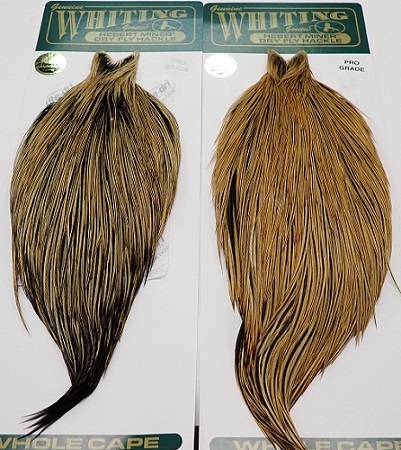 WHITING（ホワイティングハックル）、ゴールデンバジャーのコック