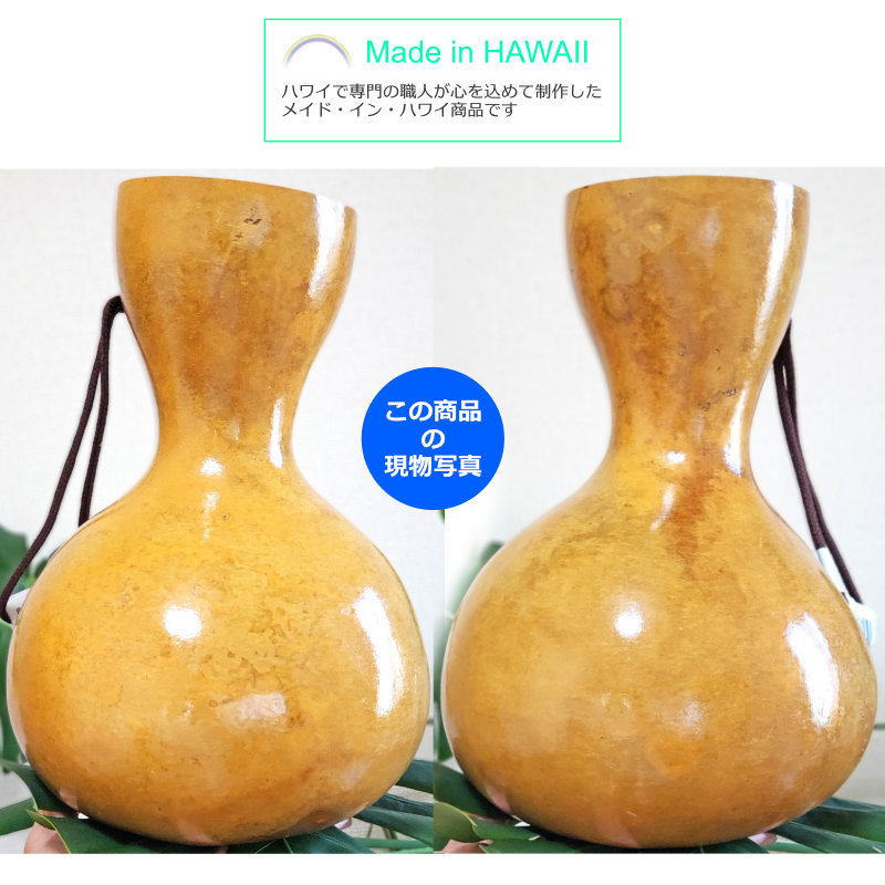 フラダンス楽器｜イプ・ヘケ・オレ ハワイ製 Lサイズ(9インチ) 349gの