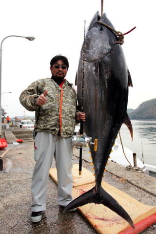 マーリン カジキ 株式会社 カーペンター ルアー 釣り GTフィッシング