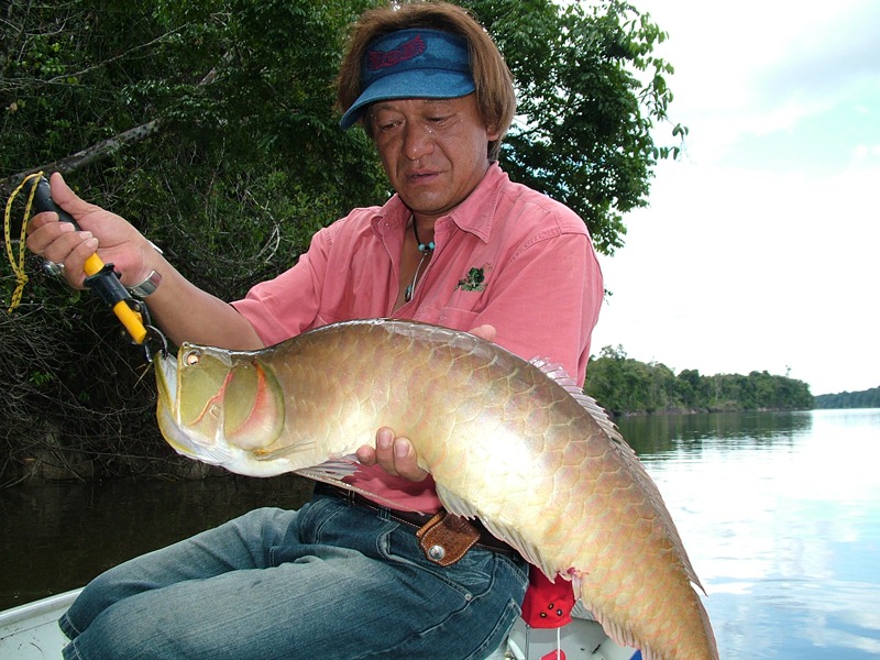 村田基どっとこむ