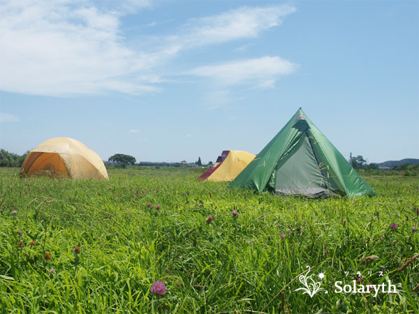 Solaryth - Golite HEX3 + ネスト