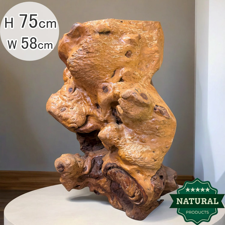 楽天市場】送料無料 自然 木 楠 花鉢 展示品 オブジェ H 75cm 家具