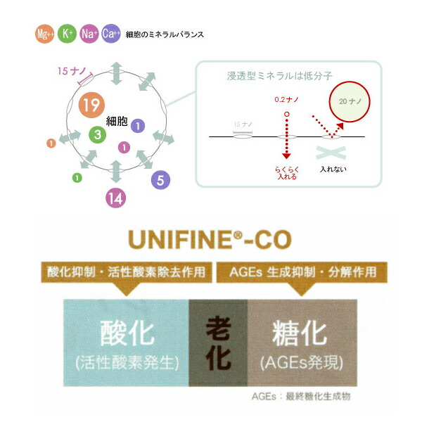 楽天市場】【【正規品】 シリアルナンバー付 ノンf エナジー