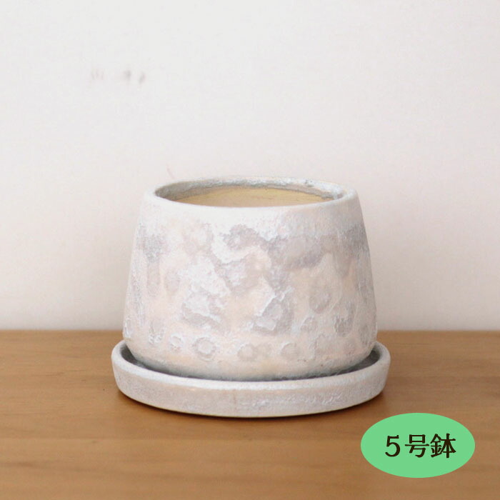 楽天市場】資 HA-4382S WB 5号つぼ型 受皿付 陶器 鉢 植木鉢