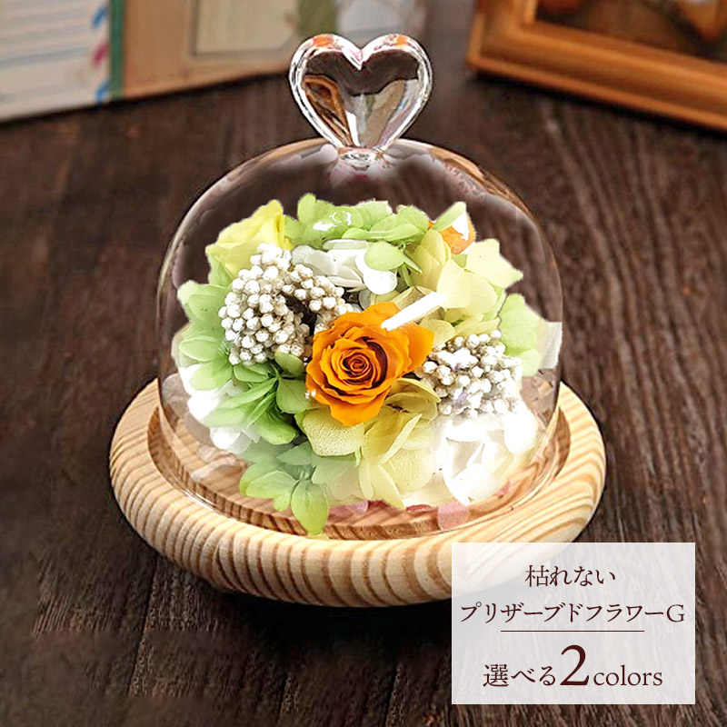 楽天市場】SOUP ガラスドームアレンジメント 枯れないプリザーブド