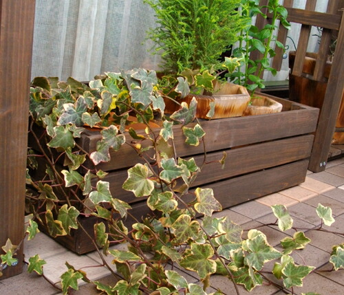 切り株プランター 鉢 植木鉢 園芸 ガーデニング ガーデン 375-255 切り株プランター 鉢 植木鉢 園芸 ガーデニング ガーデン 375-255