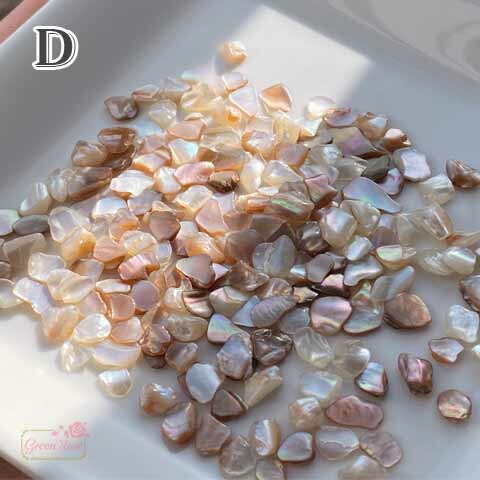 楽天市場】シェル 貝 欠片 かけら あわび 貝殻 天然素材 封入 ケース