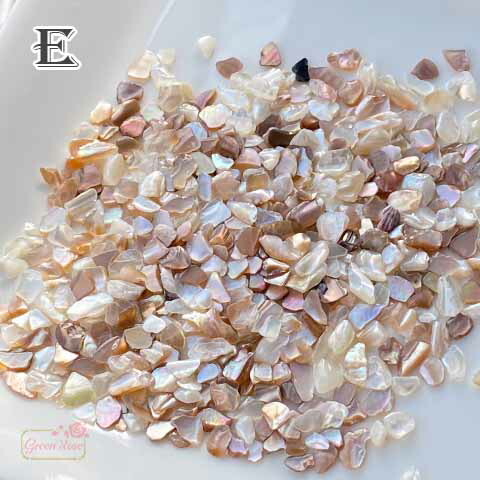 楽天市場】シェル 貝 欠片 かけら あわび 貝殻 天然素材 封入 ケース