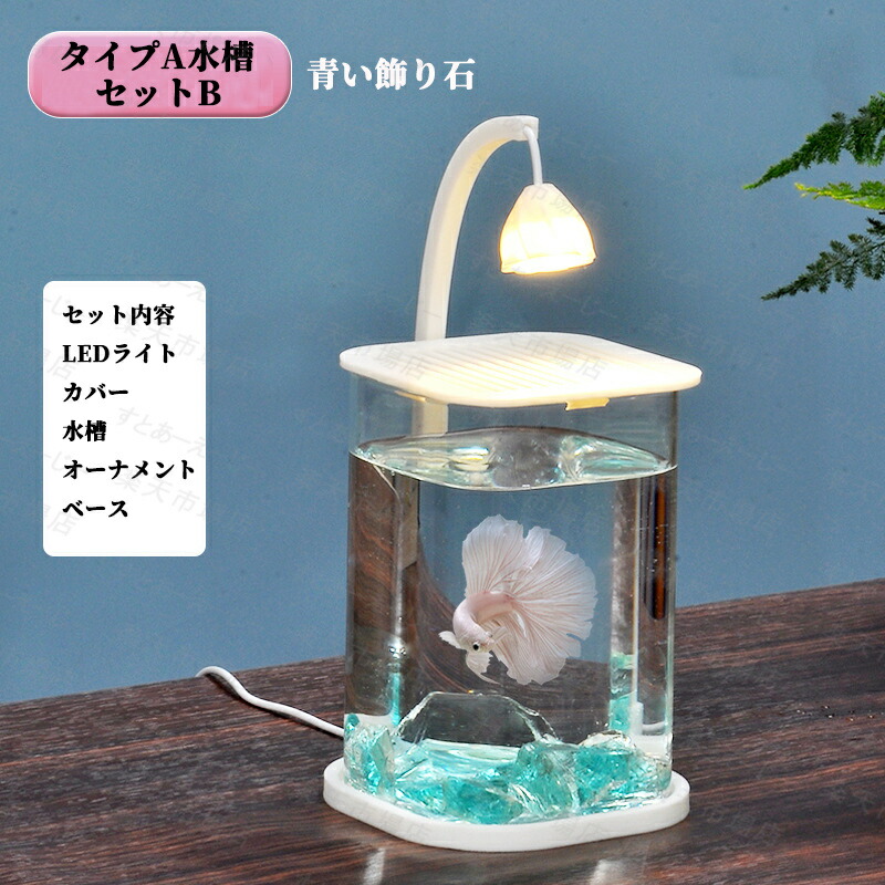 楽天市場】水槽セット 金魚鉢 金魚 飼育 アクアリウム 容器 透明