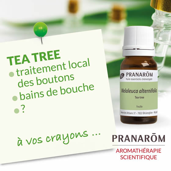 楽天市場】プラナロム ティートゥリー 10ml プラナロム アロマオイル