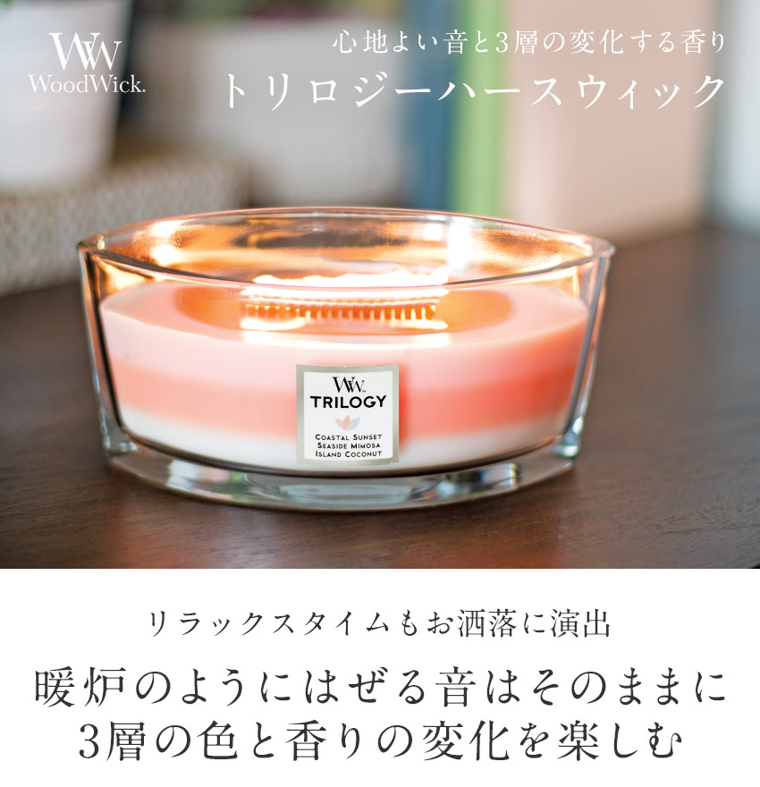 楽天市場】【国内正規品】 ぱちぱち音が心地良い トリロジー ハース