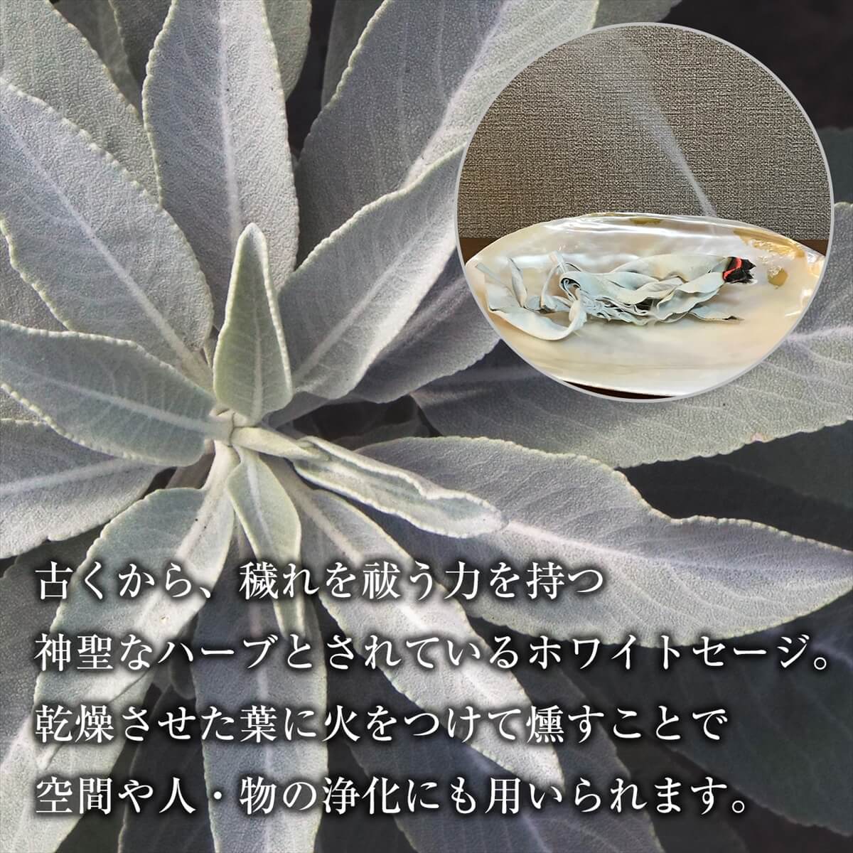 楽天市場】ホワイトセージ 浄化用 枝付き クラスター 約100g THE EARTH