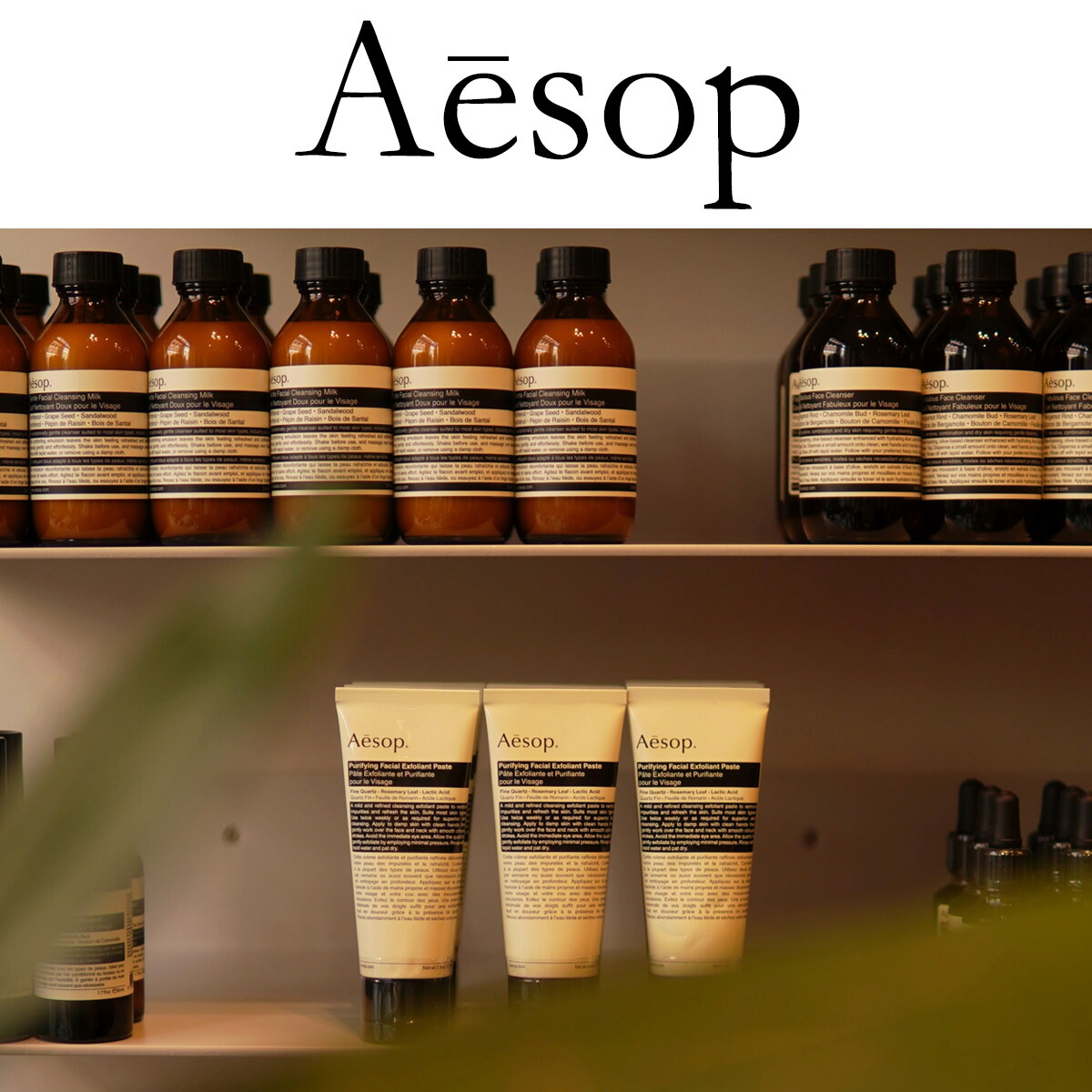 楽天市場】イソップ ギフト Aesop アンドラム エクスペリエント ハンド