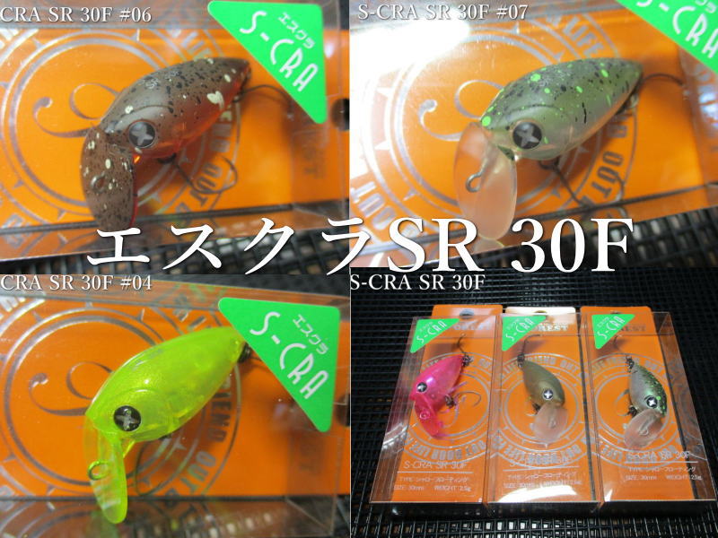 楽天市場】エスクラSR 30F ～全10色 ＜フォレスト FOREST＞ □エリア