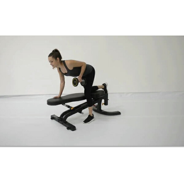 楽天市場】パワーテック ユーティリティベンチ【送料込み価格】【返品