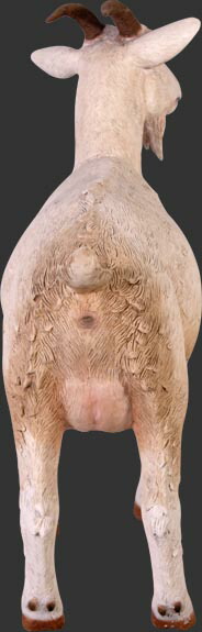 楽天市場】FRPアニマルオブジェ 子やぎの挑戦【即納可】置物 動物 山羊