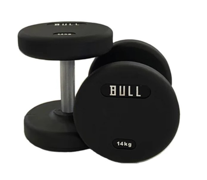 楽天市場】BULL TPUダンベル 12～30kg 重量固定式 2個1組 静音 ゴム
