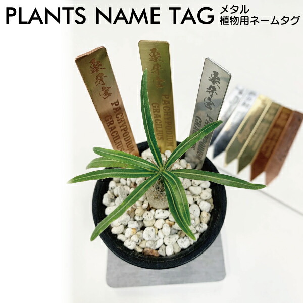 楽天市場】プランツタグ 金属製 3本セット 真鍮 ステンレス 銅 9.8cm
