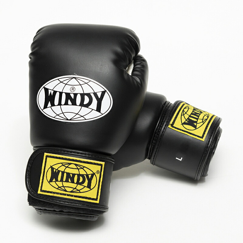 楽天市場】【日本総代理店】WINDY(ウィンディ) BGVC キッズレディス