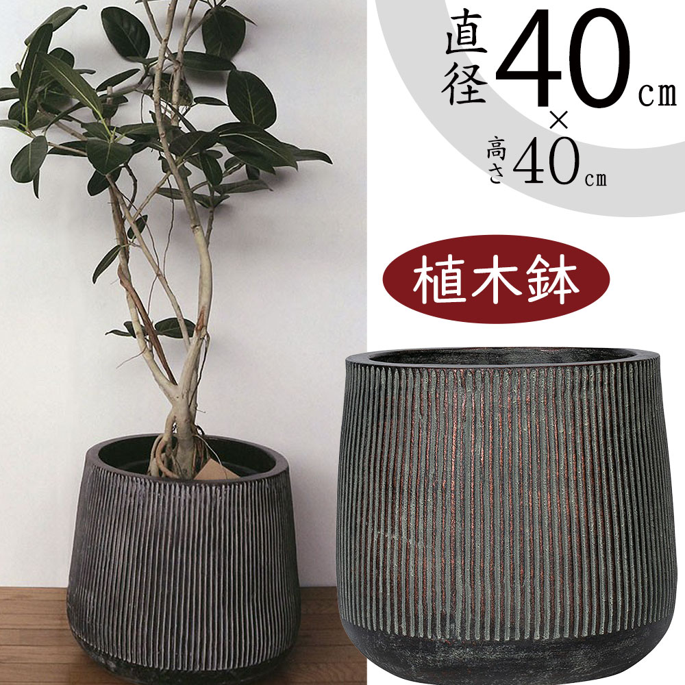 楽天市場】テラコッタ 植木鉢 大型 おしゃれ 人気 プランター おすすめ