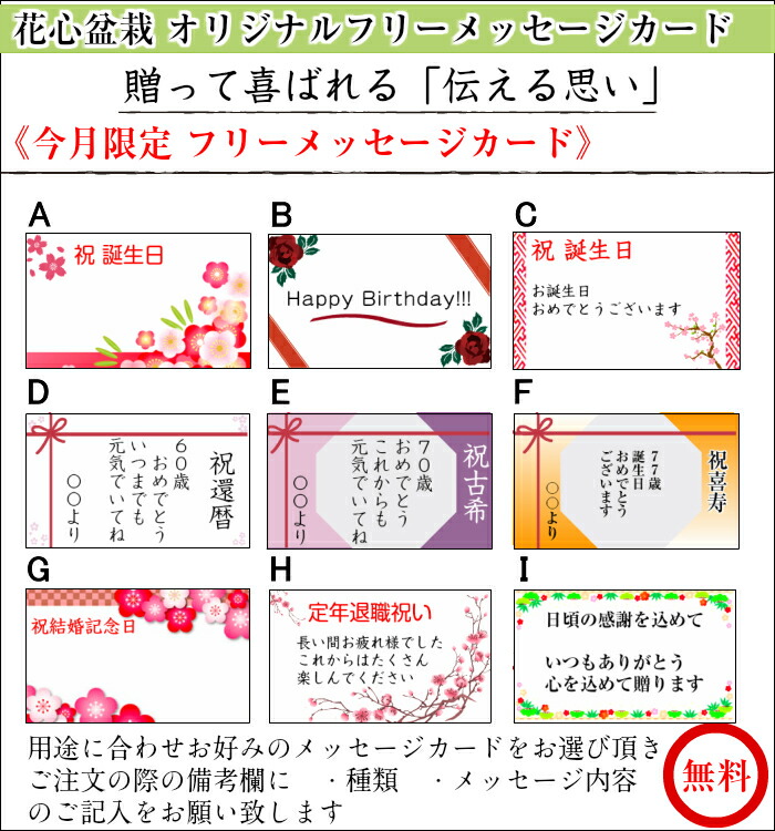 楽天市場】盆栽 楓 かえで 樹齢50年 一点もの 現品お届け 無料