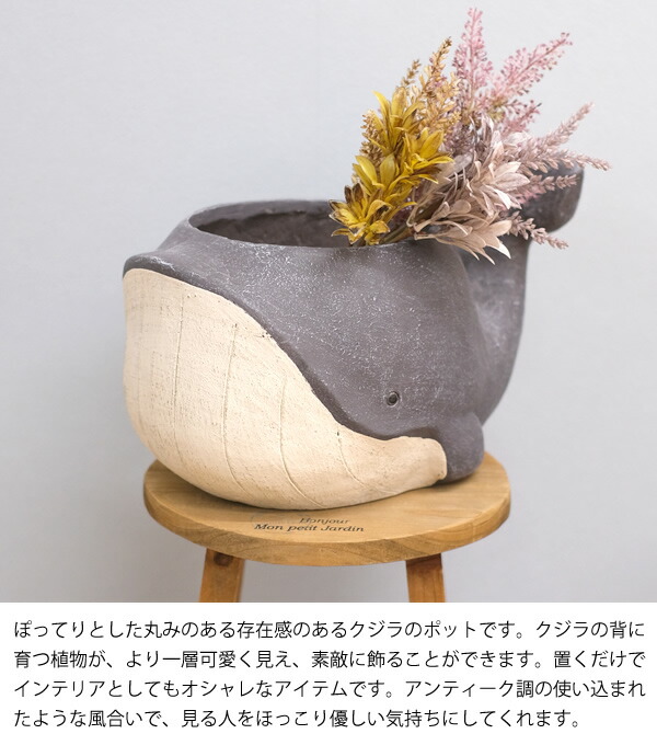 楽天市場】【送料無料】CN29 アニマルポットクジラ 25 L くじら 鉢