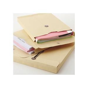 TANOSEE 保存袋 角0 380×285mm マチ幅35mm 1パック （100枚） 日用品