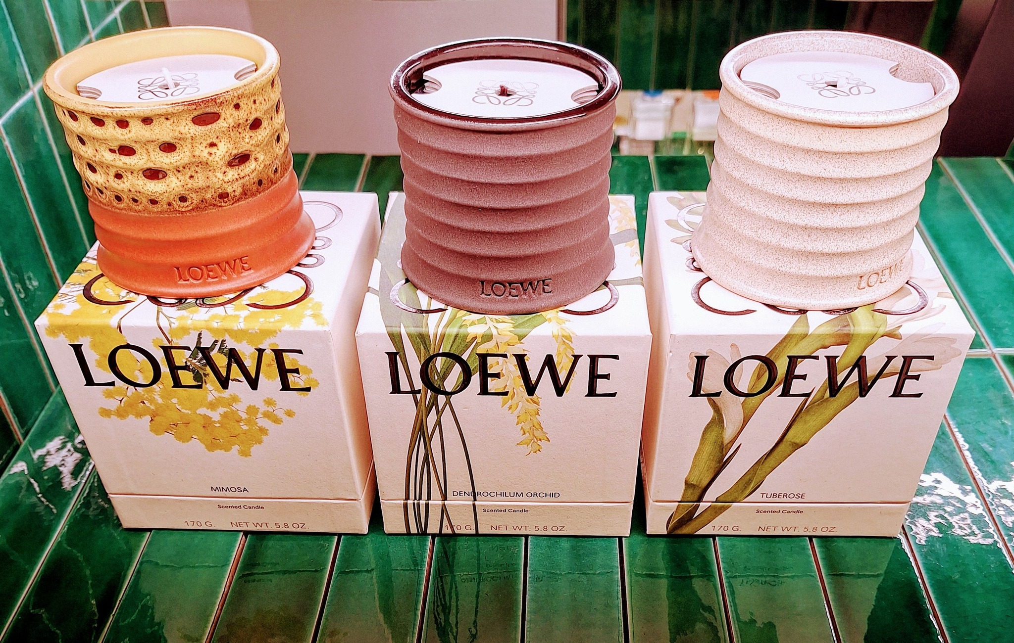 楽天市場】ロエベ キャンドル スモール 離島 別途1000円プラス ミモザ