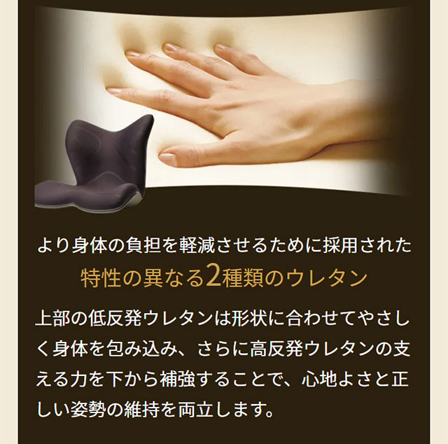 楽天市場】【メーカー正規販売店】 スタイルプレミアム Style PREMIUM