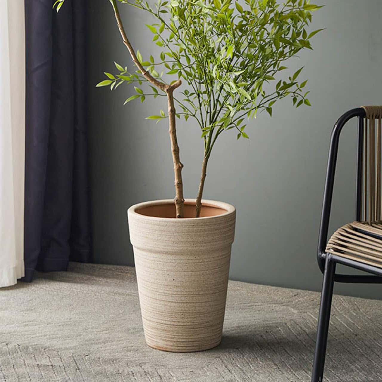 楽天市場】観葉植物鉢 穴あけ 大型プランター 特大 プランター 鉢 軽量