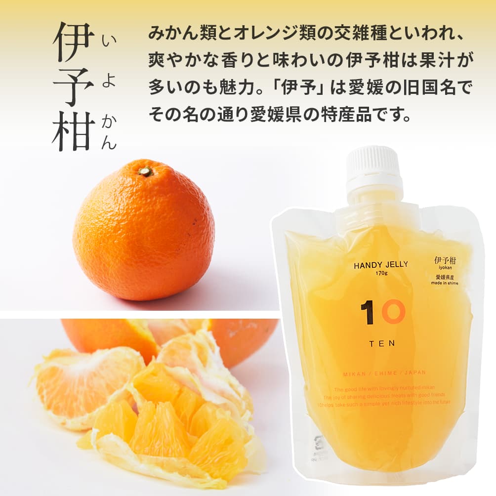 楽天市場】10FACTORY 愛媛 みかん ゼリー 170g 1個 国産 フルーツ