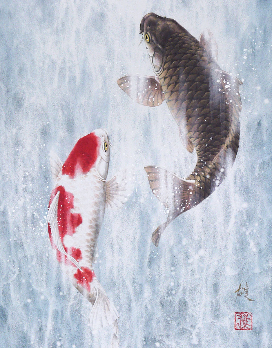 美品 掛軸 広森耕仁 夫婦鯉の滝昇り 二重箱 2025年最新】