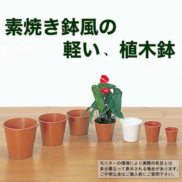 楽天市場】プラ鉢4号 10個セット(P4)/ポット・鉢 プラスチック