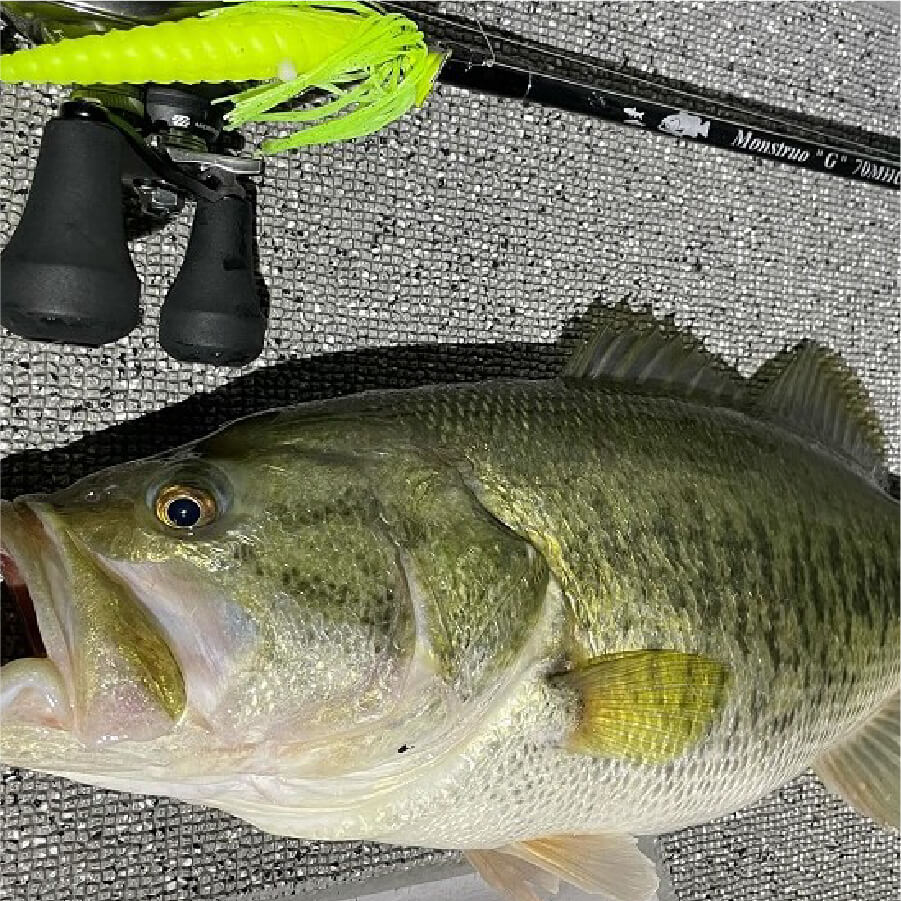 Monstruo“G”70MHC – TULALA online store