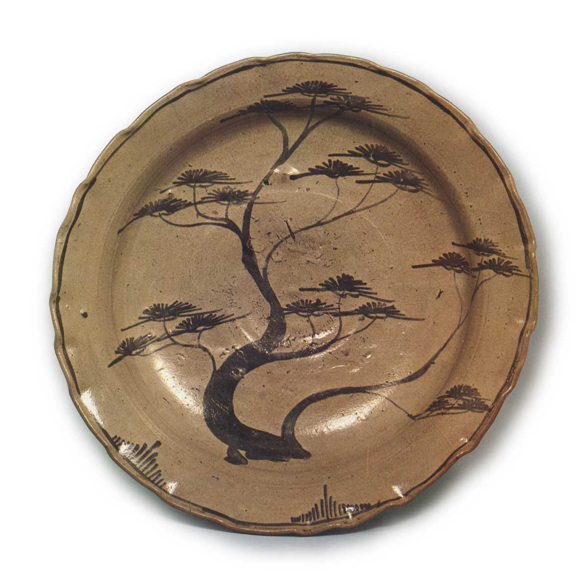 絵唐津 松文 大皿 | 鶴田 純久の章 お話