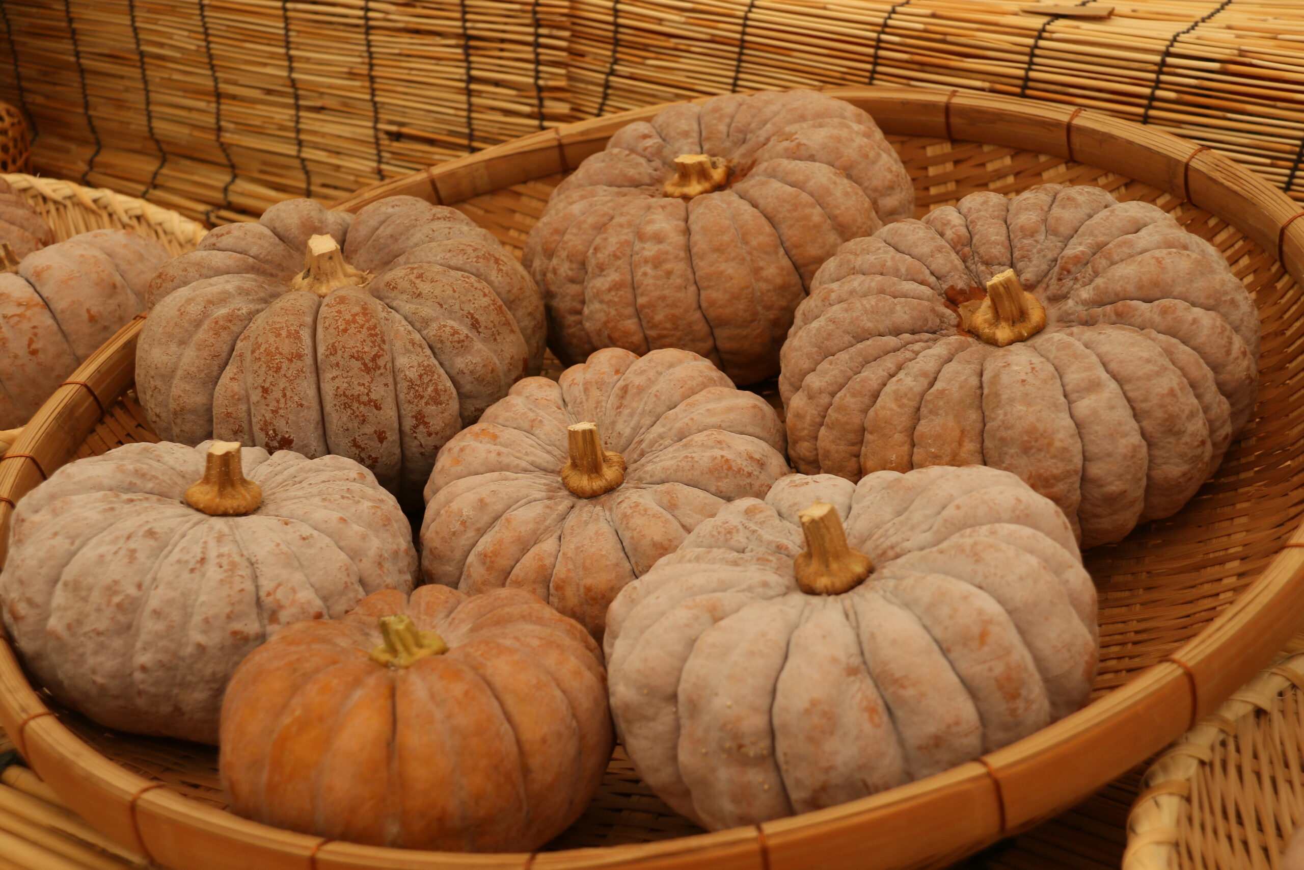 内藤かぼちゃ | VEGESH TOKYO