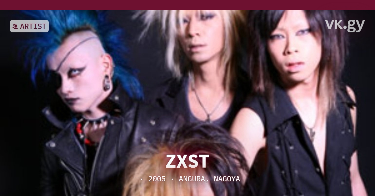 ZXST profile | ZXSTプロフィール | vkgy (ブイケージ)