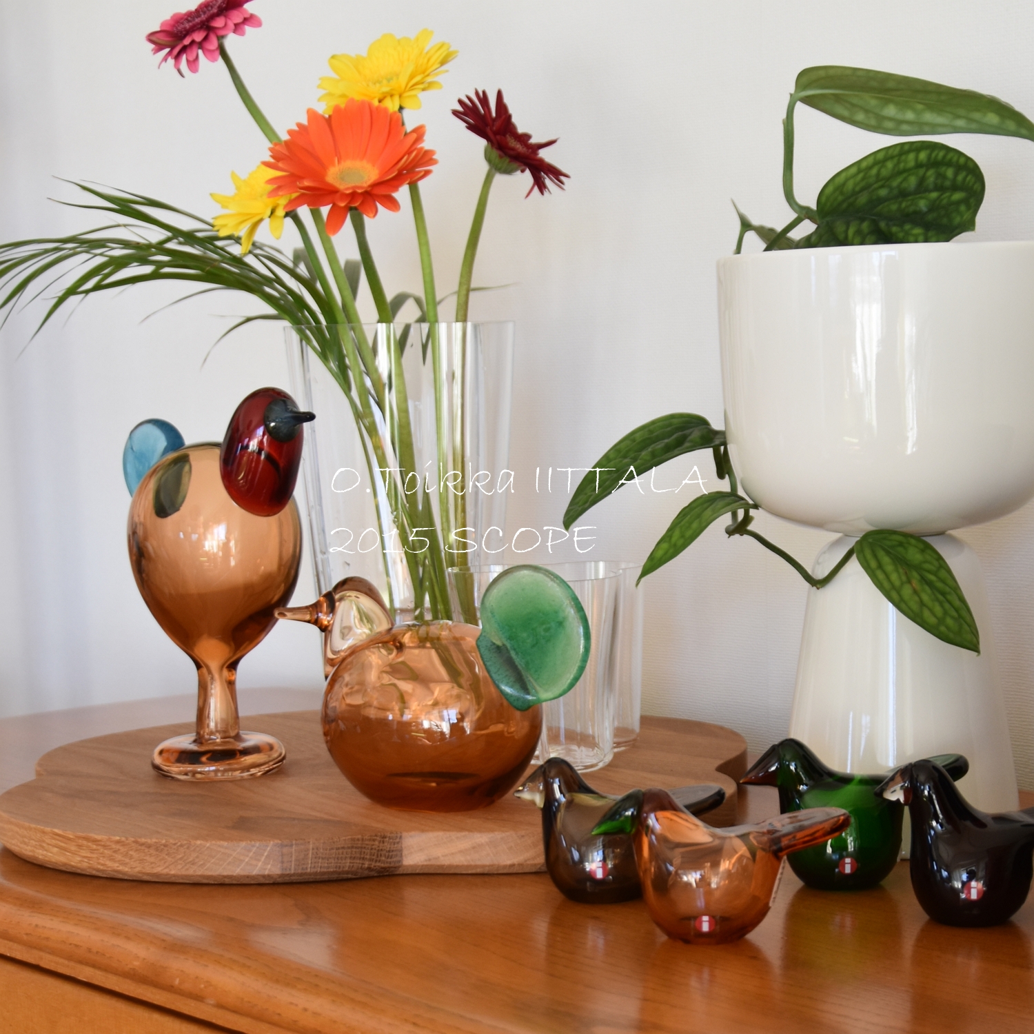 イッタラ バード イブニングバード scope別注 イッタラ バード