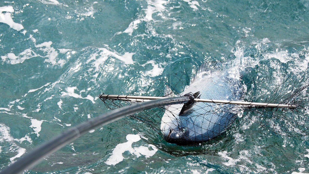 眠らない川」に浸かる安心のフットウエア／パズデザイン・レイガードⅡ