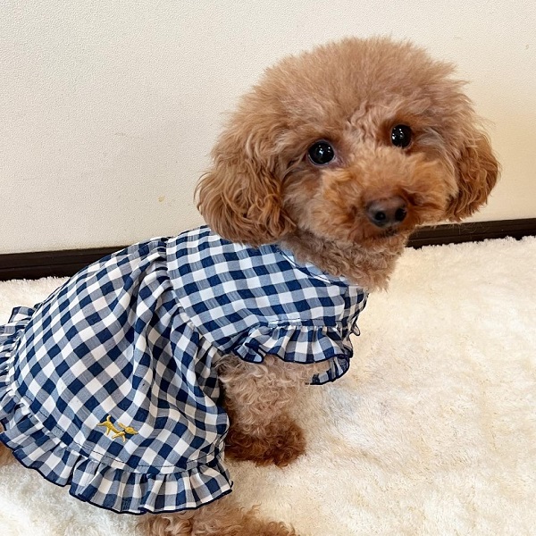 金土日限定値下げ！】 Herlipto チェック柄 ワンピース 参戦服 ミニ丈