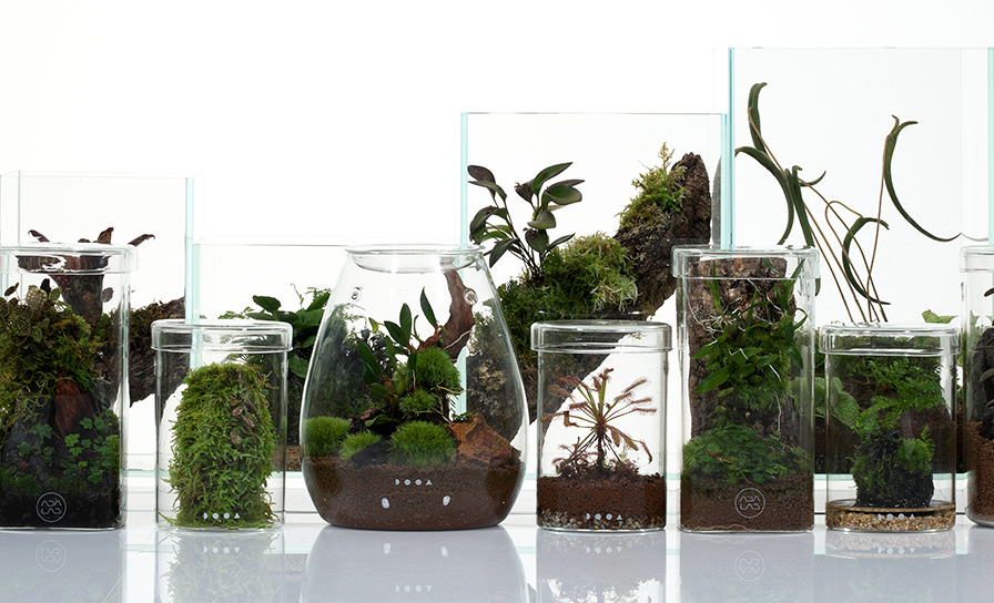 Cube Garden | ADA - PRODUCT - AQUARIUM TANK