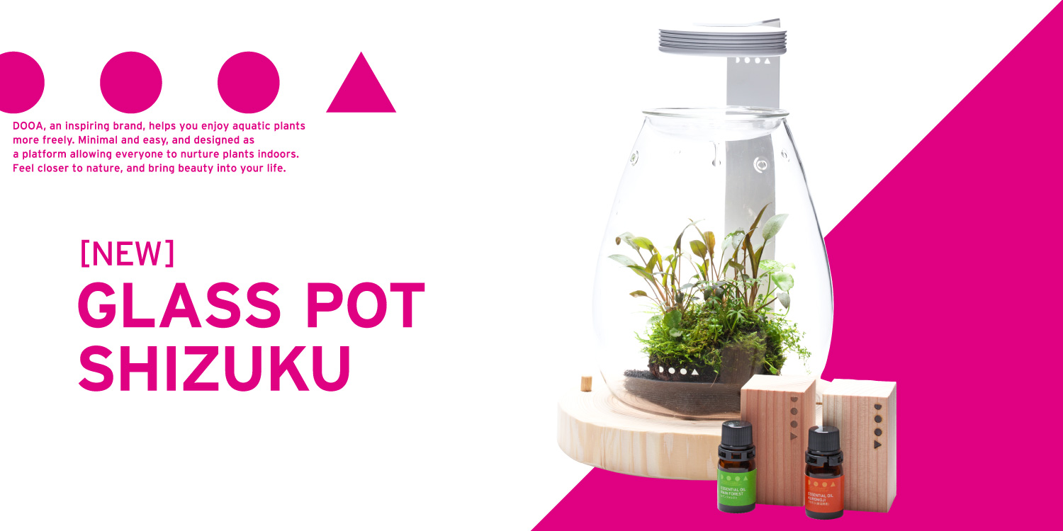 New! DOOA Glass Pot SHIZUKU & DOOA Wood Base SHIZUKU | ADA - NEWS