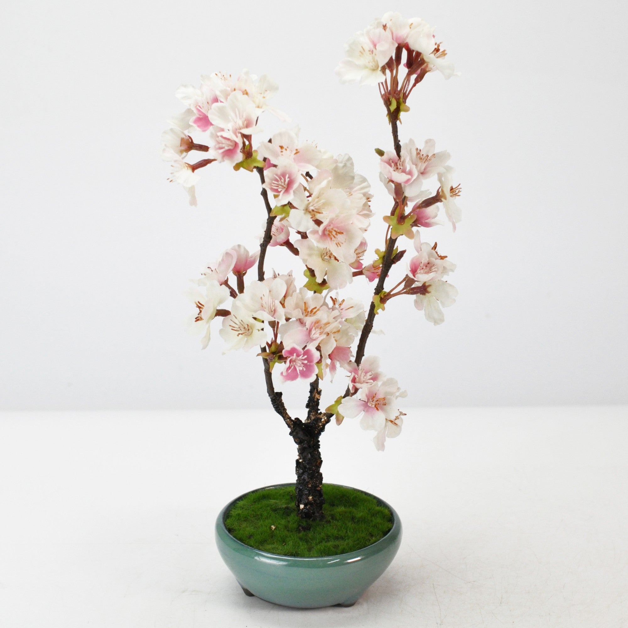 造花盆栽 桜の販売｜盆栽妙 – 盆栽妙 本店