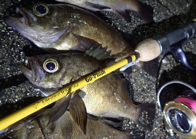 ゴーフィッシュ カモメトレイル KT-56ul 【シーバスルアー専門店