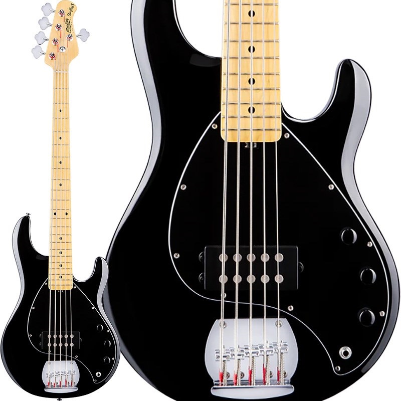 Sterling by MUSICMAN S.U.B. Series Ray5 (Black/Maple) ｜イケベ楽器