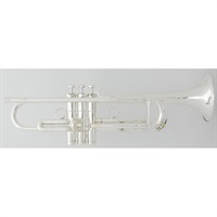 管楽器・吹奏楽器 Schilke 商品一覧｜イケベ楽器店オンラインストア