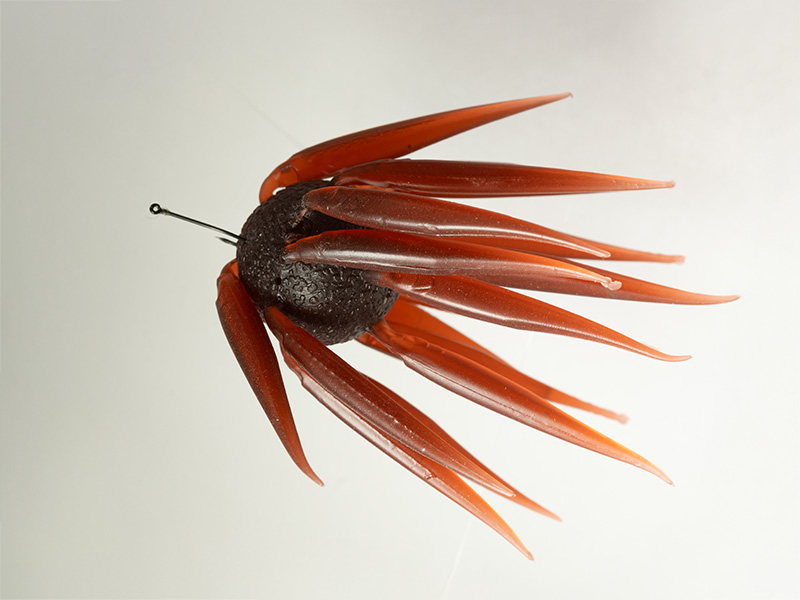 コイケ フィッシュL エラストマー HIDEUP ハイドアップ