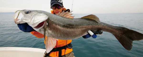 ソルティスト BS 66ML ソルティスト BS 66ML - 17,800円 : 海釣り、船